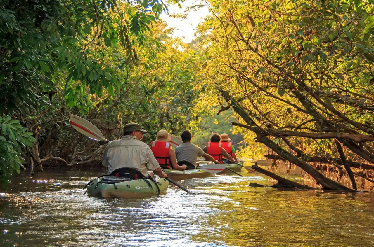 MANATEE AMAZON EXPLORER CRUCEROS EXPLORACIÓN AMAZONIA CRUCEROS CRUCEROS EXPLORACION CRUCEROS FLUVIALES EXPEDICION CRUCEROS RIO AMAZONAS ANAKONDA AMAZON CRUISES #AnakondaAmazonCruises #ManateeAmazonExplorer #CrucerosAmazonas